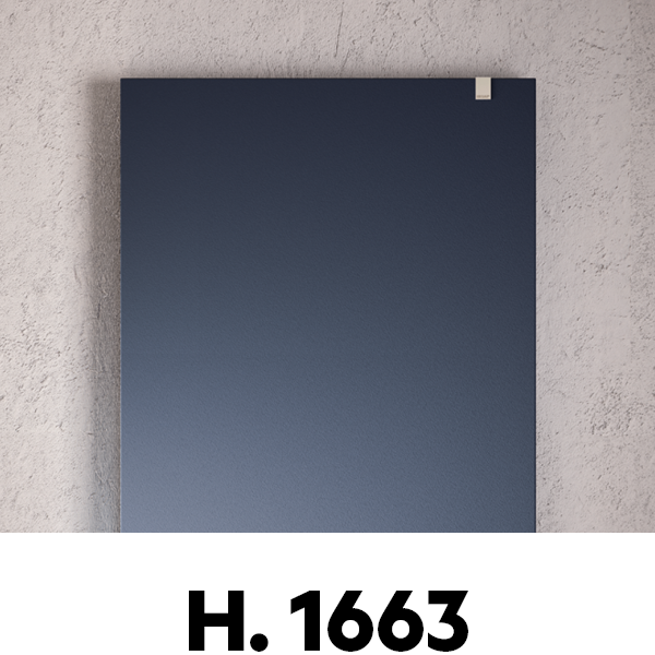 1663 x 456